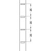 Shelf Support Strip for Knocking into 11 x 5 mm Groove Aluminium 25 mm intervals dimensions 13 x 5 mm Length: 3500 mm bright