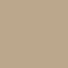 Splashback Opaque Coloured Glass Caramel 6 mm toughened glass 595 x 745 mm