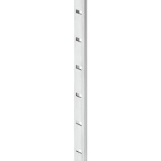 Shelf Support Strip for Knocking into 11 x 5 mm Groove Aluminium 25 mm intervals dimensions 13 x 5 mm Length: 3500 mm bright