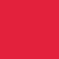 Splashback Opaque Coloured Glass Ruby 6 mm toughened glass 595 x 745 mm