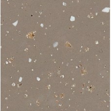 Splashback Solid Surface Brazilian Greige Maia<sup>®</sup> 1800 x 580(H) x 10 mm Half splashback