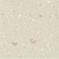 Splashback Solid Surface Fossil Maia® 1800 x 580(H) x 10 mm. Half splashback