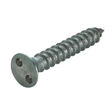 Security Screw Countersunk 2 Holes Size 3.5 x 19 mm TH4