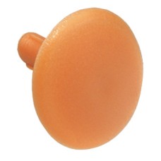 Cover Cap Plastic Hexagon socket WAF4 Pine coloured SW4 hexagon socket