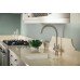 3-in-1 Filter Tap 2.1 litres C-spout Pronteau ProStream PT1102 - Brushed nickel