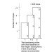 Soft Close for Hinged Doors for 110° Full Overlay Hinge Plastic Ideal for kitchen bedroom and bathroom cabinets Grey (1 pc = 5 soft closes)