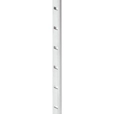 Shelf Support Strip for Knocking into 11 x 5 mm Groove Aluminium 25 mm intervals dimensions 13 x 5 mm Length: 3500 mm bright