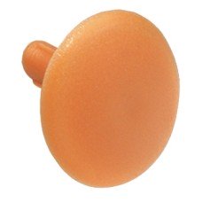 Cover Cap Plastic Hexagon socket WAF4 Pine coloured SW4 hexagon socket