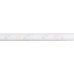 LED Flexible Strip Light 12 V Length 3000 mm 4 mm Rated IP44 Loox5 LED 2099 120 LEDs/ m 9.6 W/m Warm white 3000 K