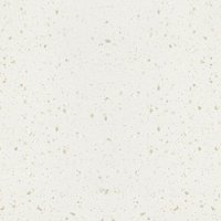 Minerva 3050x25mm LH Des Stainless Steel 1.5B Ice