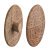 Cover Cap for Screws Press-Fit Solid Wood For push fitting Oak
