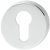 Escutcheons D53mm Pro Cyl SSS