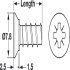 Varianta Screw Ful Countersunk PZ2 D3.0x13.5mm SNP - view 2
