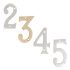 Numeral 9  76mm Zinc Alloy Polished Chrome 987.18.092