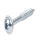 Trend Pkt Hole Screw Prt Dme D3.75x30mm500