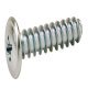 Panel Mounting Screw, Flat Head, PZ, Fully Threaded, Ø 5 mm Drill Hole, 27.5 mm