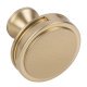 Oberon Knob Zinc Alloy Gold Champ D35x30mm