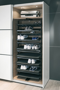 Shoe Rack Extending and Rotating for Tall Cabinets Black finish frame