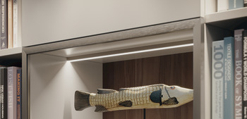 Loox5 2101 Profile SM 3.0m Aluminium/Plastic OplSlv - view 3