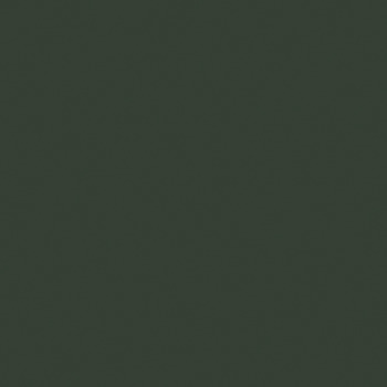 Splashback Elements Aluminium Matt Alusplash Matt Forest green/Autumn leaves - 800 x 600 mm - view 2