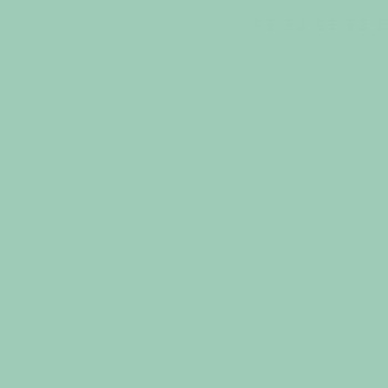 Splashback Elements Aluminium Matt Alusplash Matt Green mist/Smoked ember - 800 x 600 mm