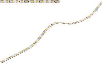 LED Flexible Strip Light 24 V Rated IP20 Loox5 LED 3040 120 LEDs/m 4.8 W/m Length 5 m cool white 4000 K - view 4