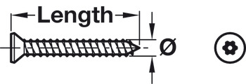 Security Screw, Countersunk, 6-Lobe/Resistorex, 4.2 x 38 mm, T20 - view 2