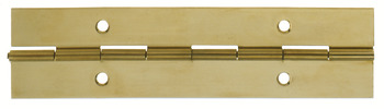 Continuous Hinge 1834 mm Length Brass Light/medium duty Open width 38 mm thickness 0.9 mm