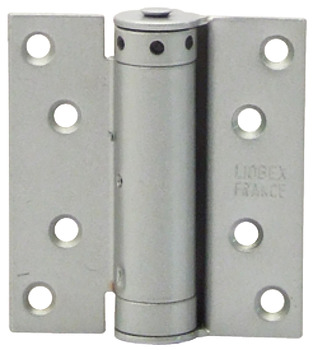 Spring Hinge Single Action 75 x 68 mm Steel Silver lacquered steel