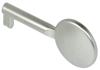 Decorative Key Zinc Alloy with 40 mm Effective Shank Length Matt nickel plated