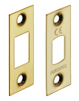 Forend and Strike Plate Set for Tubular Mortice Deadbolt Brass or Stainless Steel Replaces those supplied with deadbolt Polished stainless steel