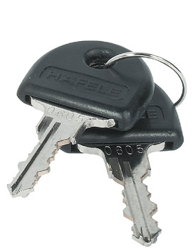 Dead bolt rim lock With fixed plate cylinder backset 25 mm Standard profile for series production of furniture Keyed different cylinder length 22 mm black key cap mounting: Left hand - view 4