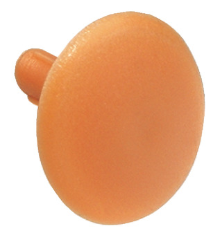Cover Cap Plastic Hexagon socket WAF4 Pine coloured SW4 hexagon socket