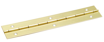 Continuous Hinge Piano Steel Open width 32 mm length 1840-1850 mm