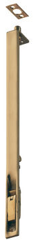 Flush Bolt Lever Action Brass Length x width: 762 x 19 mm polished