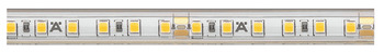 LED Silicone Strip Light 24 V Rated IP44 Loox5 LED 3046 120 LEDs/m 9.6 W/m Length 15 m cool white 4000 K - view 2