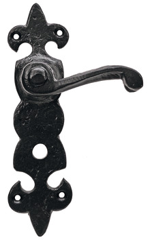 Lever Handles on Backplates Cast Iron Fleur-De-Lys Black antique Backplate for bathroom lock