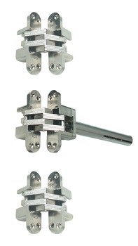 Concealed Door Closer Kit Zinc Alloy with Plated Steel Links Soss For interior doors Satin brass plated 927.50.205